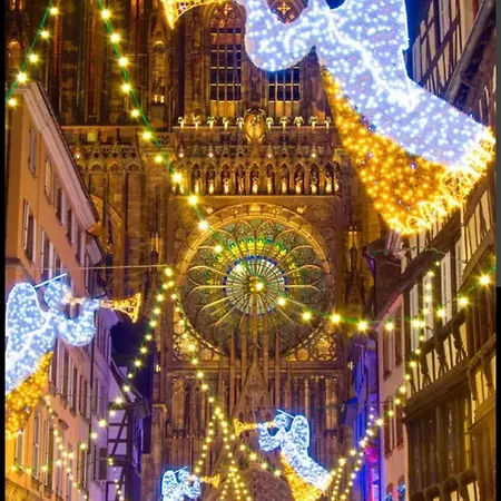 3 Pieces Proche Hyper Centre ستراسبورغ